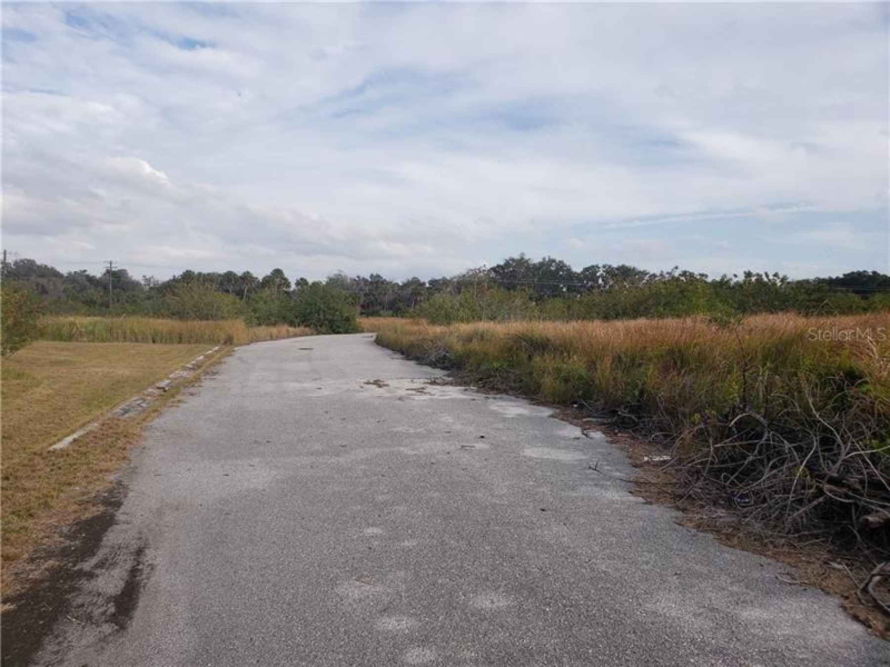 Paved Road to the Eastern part of the property.
