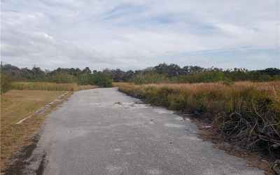 Paved Road to the Eastern part of the property.