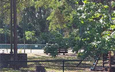 Community Tennis Courts, Basketball courts and playground