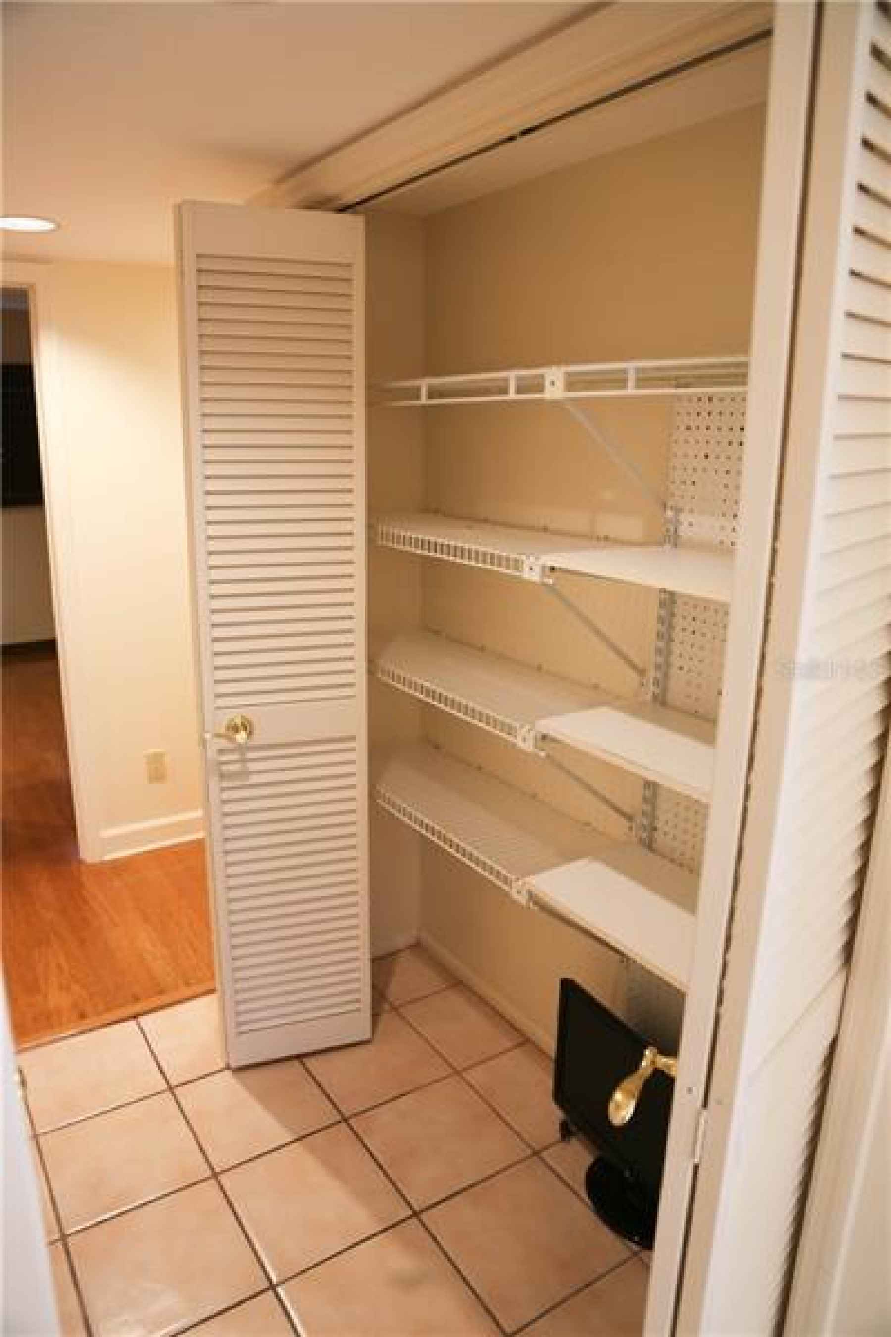 One of 2 pantry closets