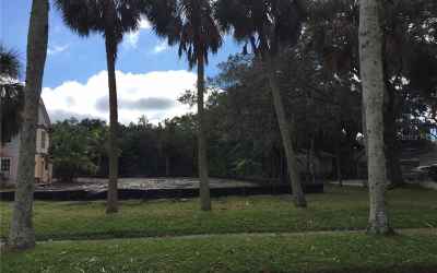 Half Acre West Parcel of the Historic Tole Fogarty Property