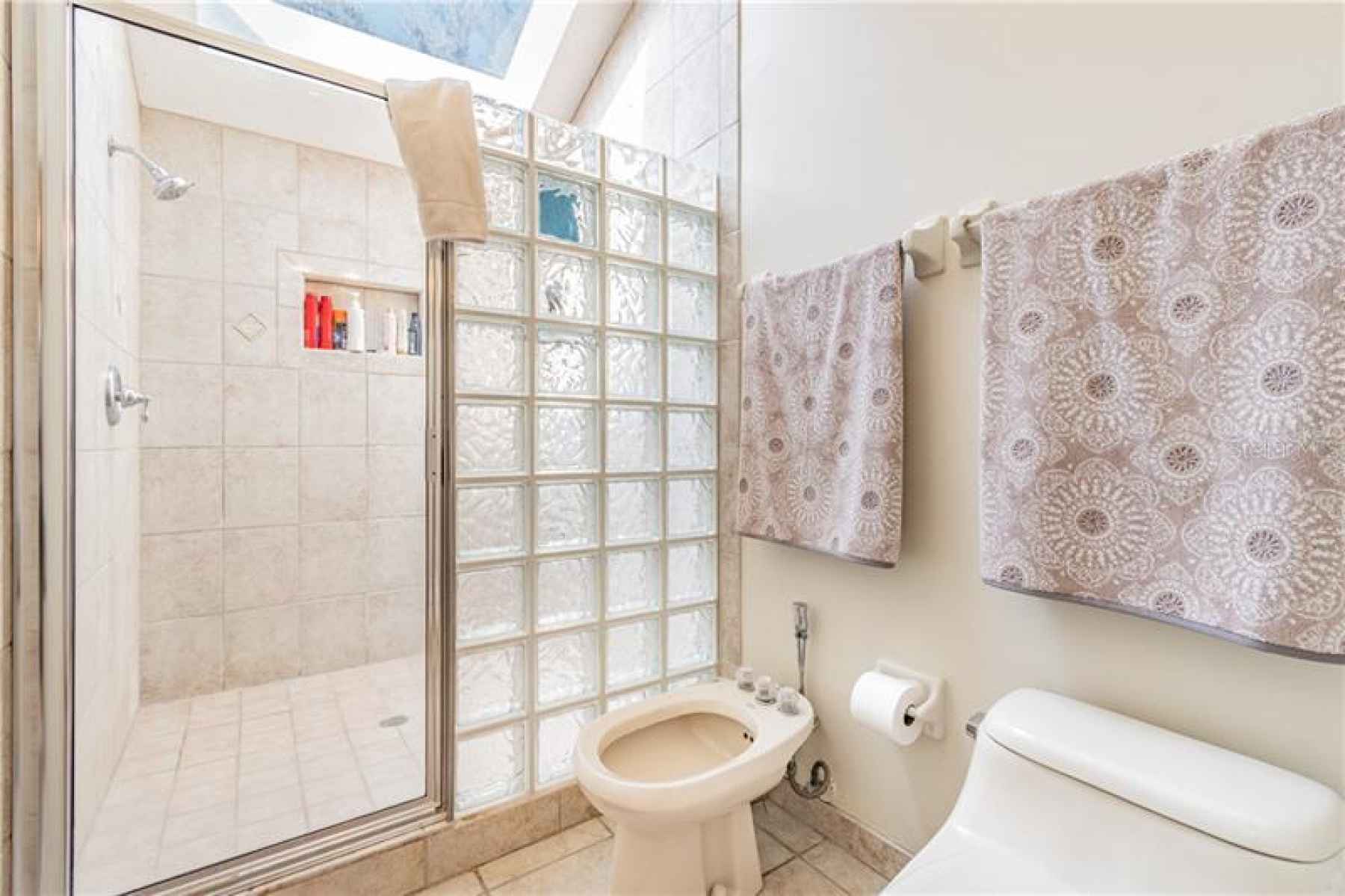 Bathroom shower with skylight and bidet.