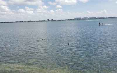 Looking straight out across Boca Ciega Bay looking at downtown St.Pete in the distance