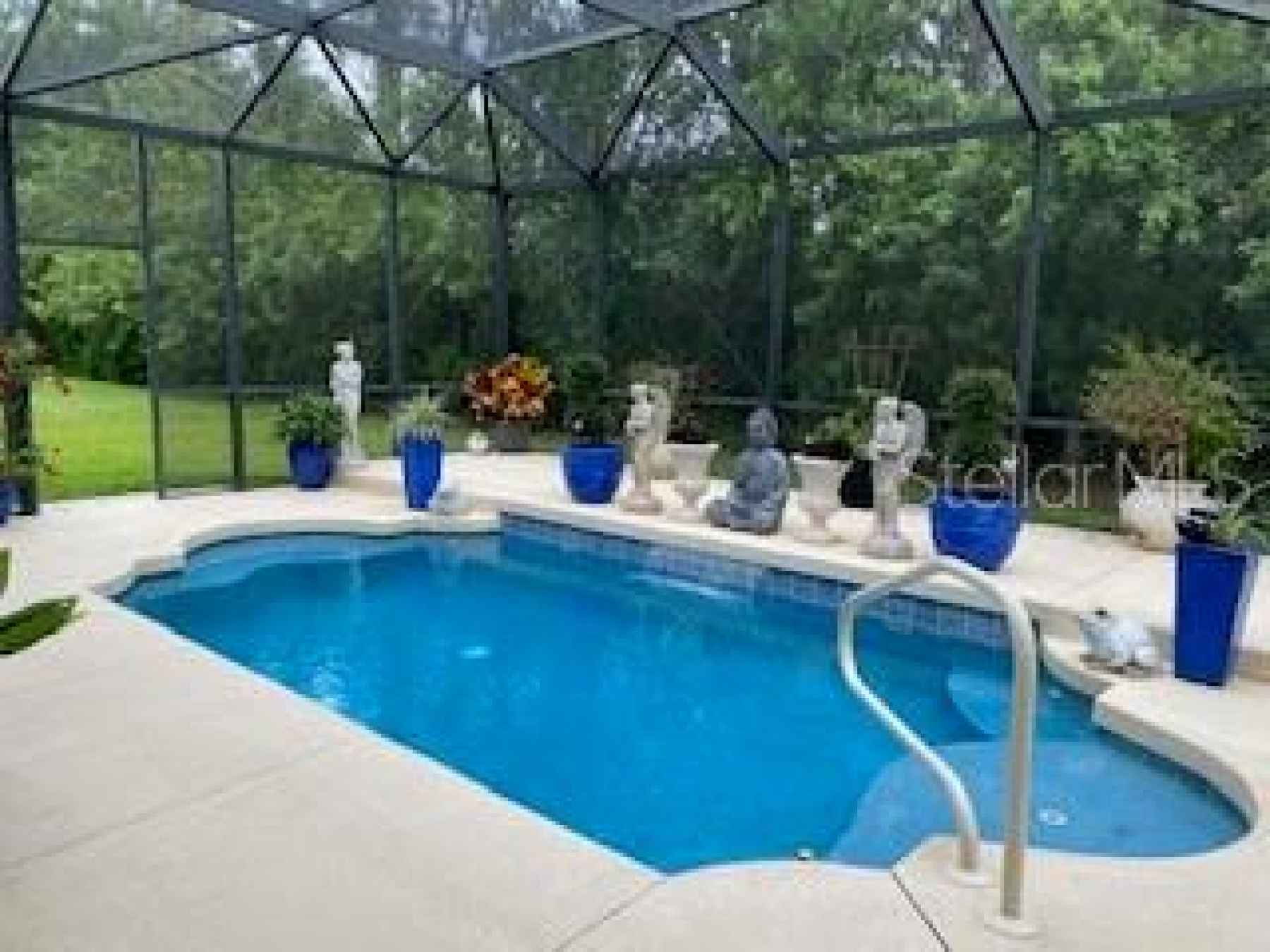 Pool/Back yard