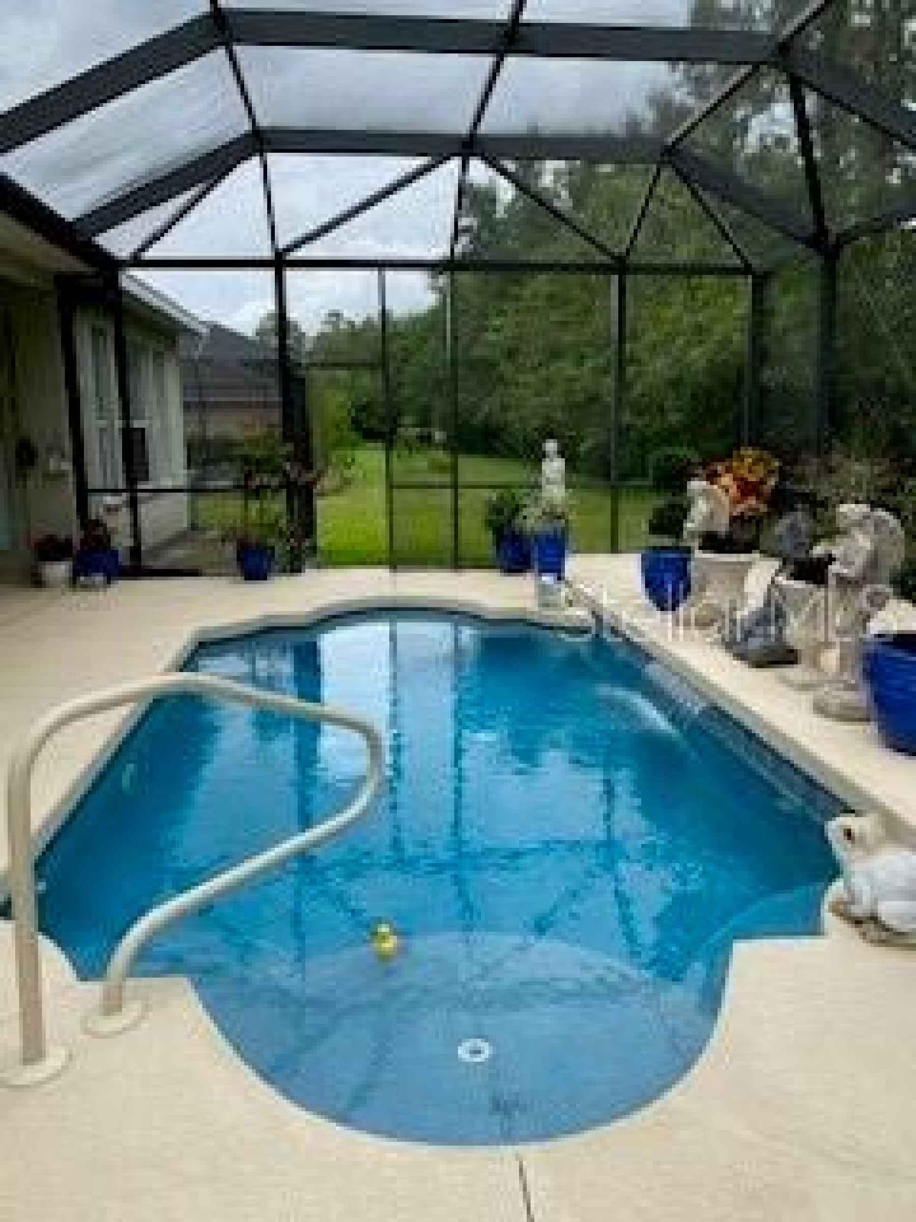 Pool/yard