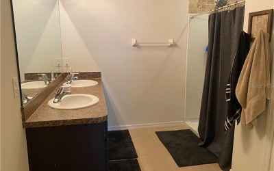 master bathroom double vanity and walk-in shower
