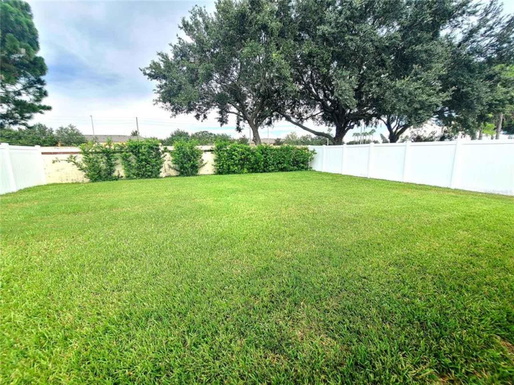 Huge & well maintained backyard, fully fenced