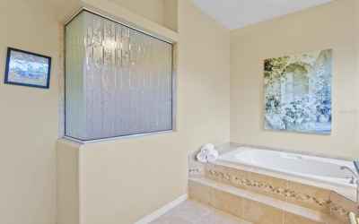 Master bath, garden tub & Roman shower.