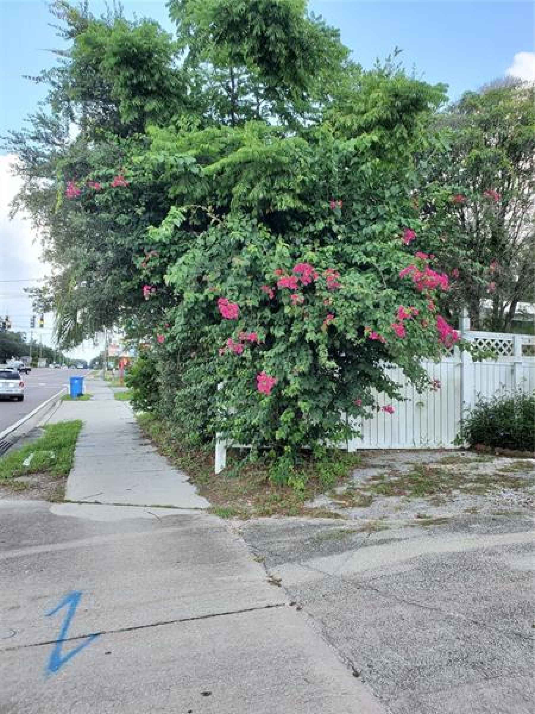 Side walk in front of property