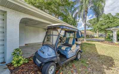 Golf cart stays with the home