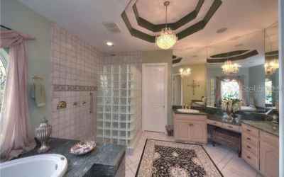 Luxurious Master Bath and Spa