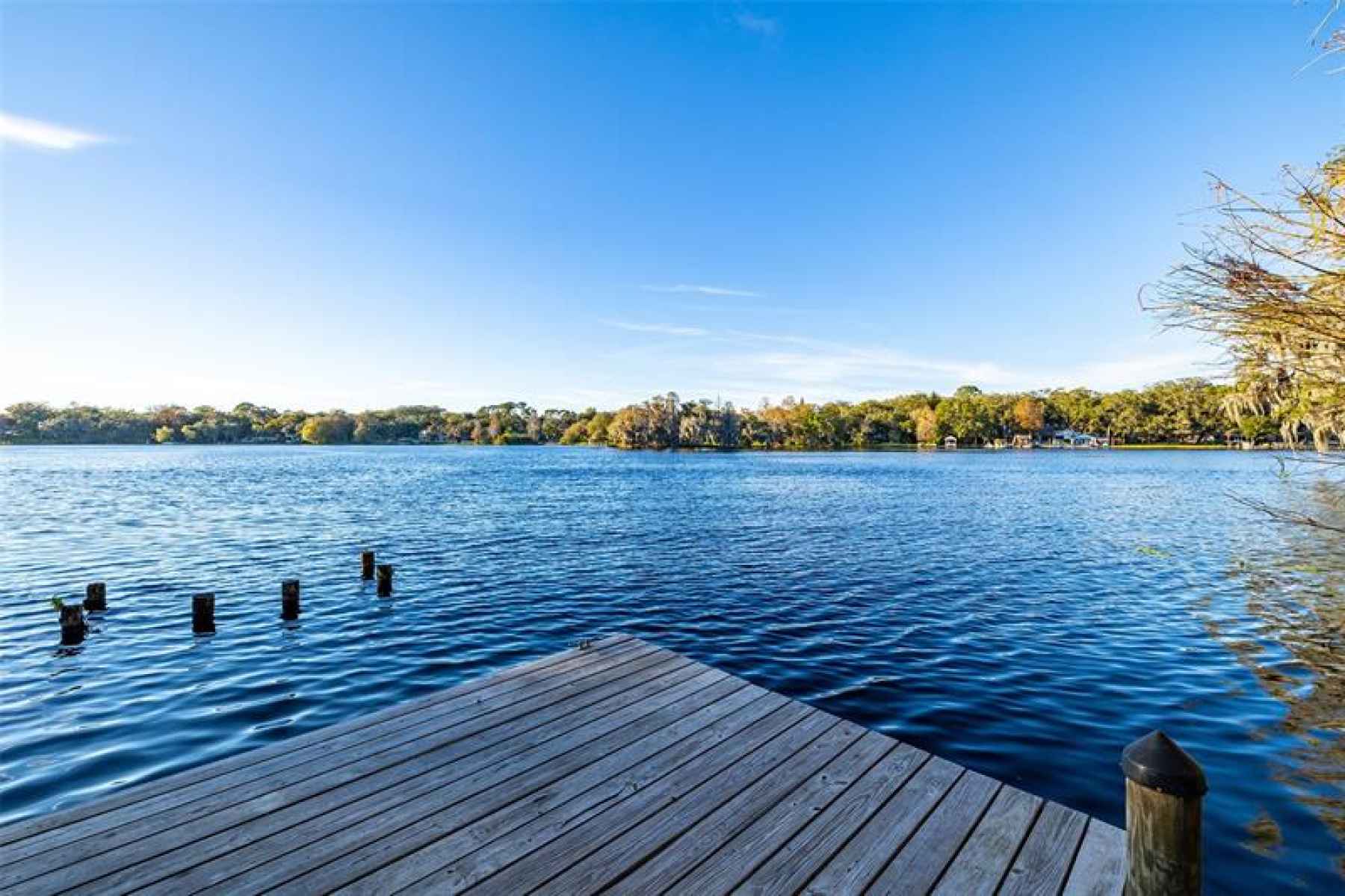 Private Dock and Access to Hillsborough River