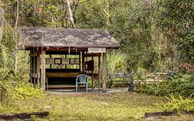 camp bayou