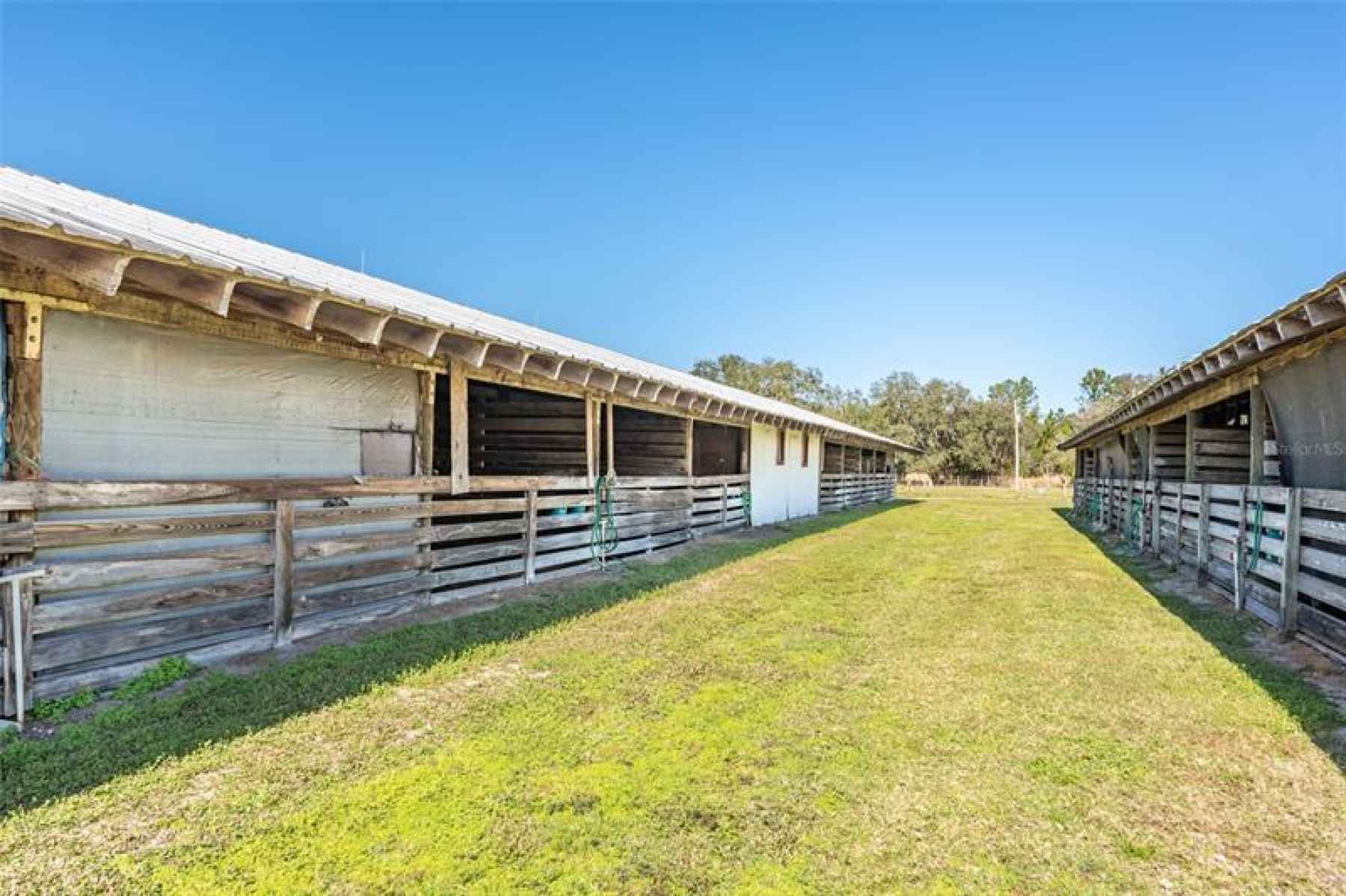 Community horse barn