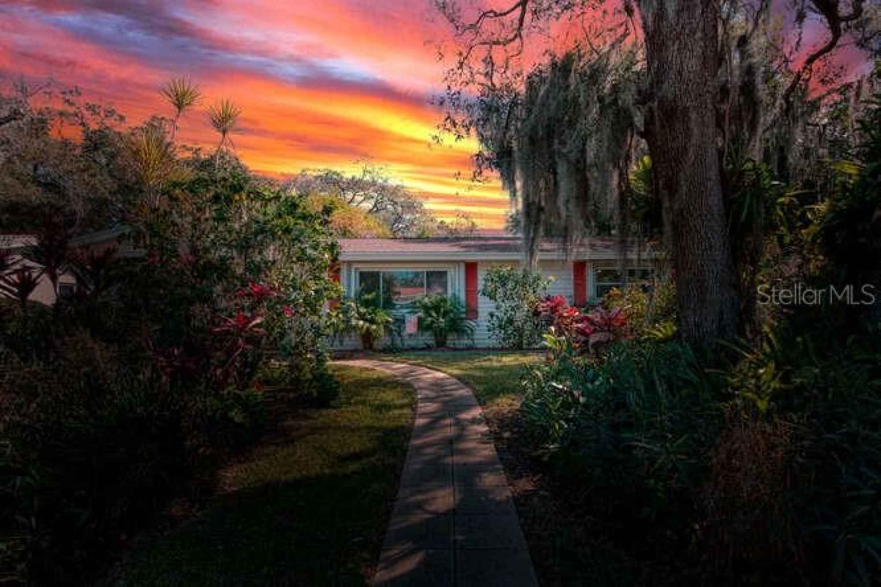 A tropical oasis hidden in Seminole