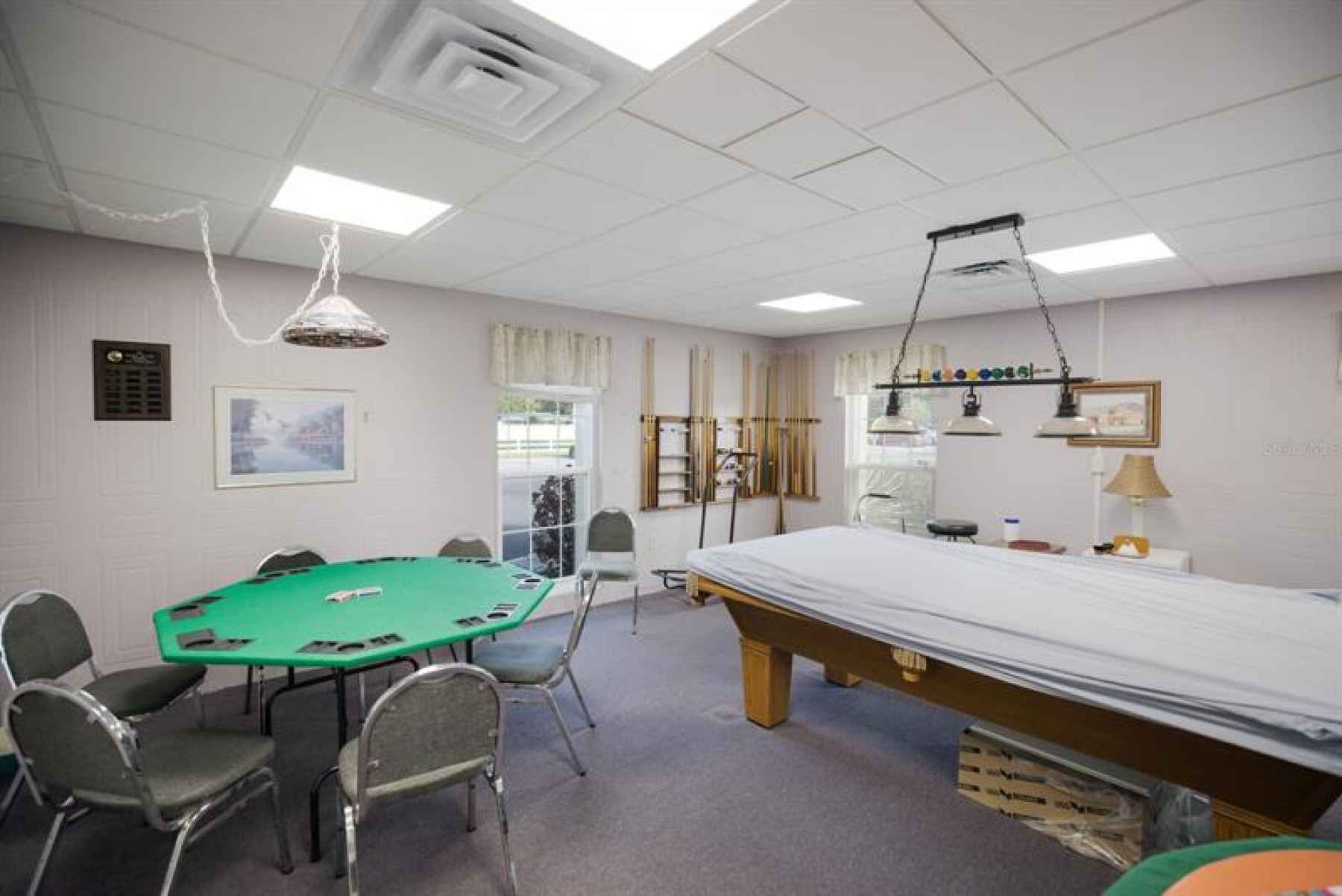 Pool table and rec room
