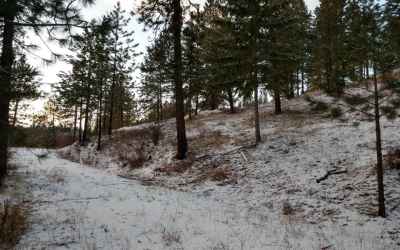 Photo for Lot 18 W Canyon Springs Way