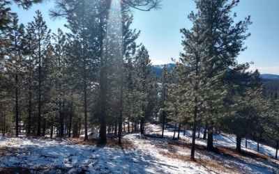 Photo for Lot 18 W Canyon Springs Way