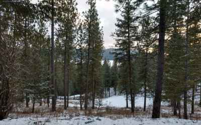 Photo for Lot 19 W Canyon Springs Way