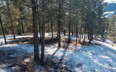 Photo for Lot 19 W Canyon Springs Way