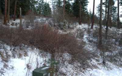 Photo for Lot 25 W Canyon Springs Way