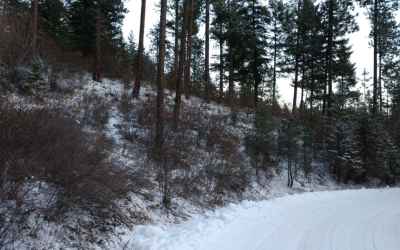 Photo for Lot 25 W Canyon Springs Way