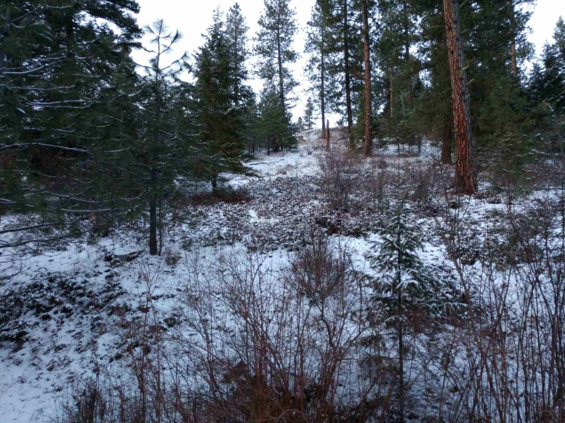 Photo for Lot 26 W Canyon Springs Way