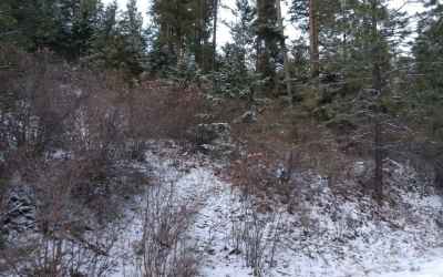 Photo for Lot 26 W Canyon Springs Way